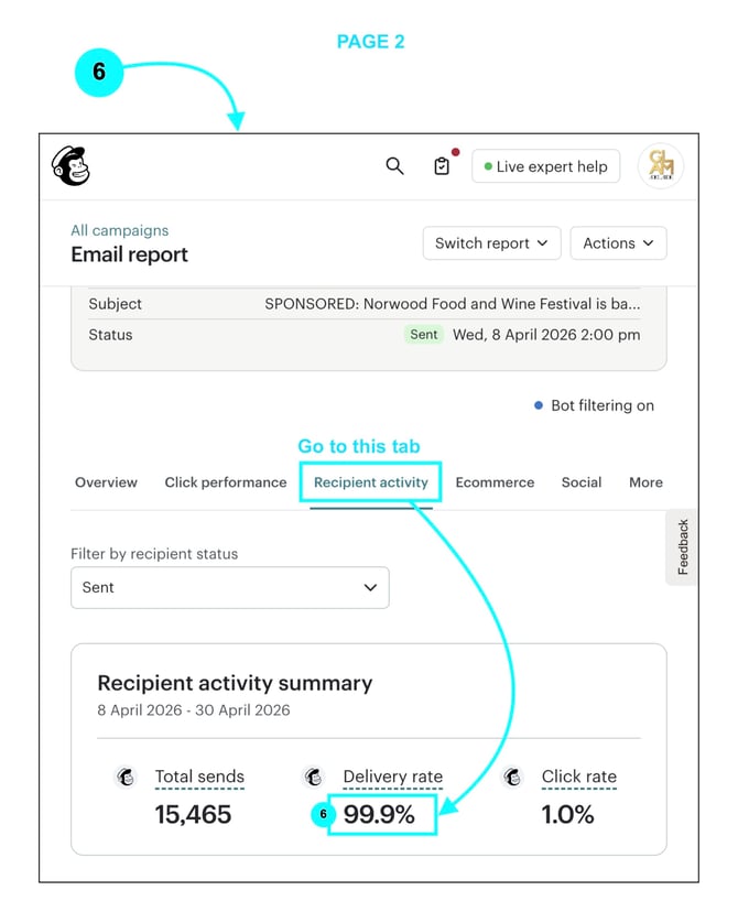 MailChimp SOLUS Reporting Stats Pt2.2-1