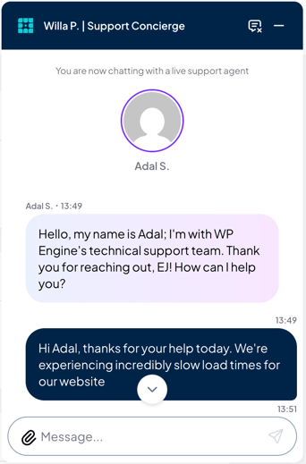 WP Engine 4